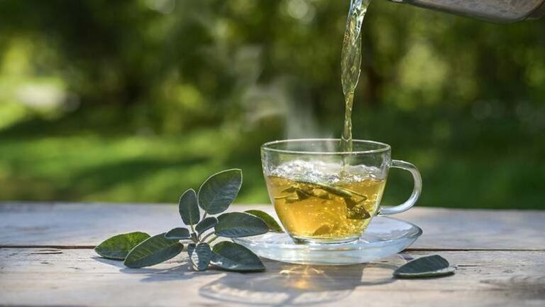El té de salvia que alivia el estrés, promueve la digestión y ayuda a la memoria