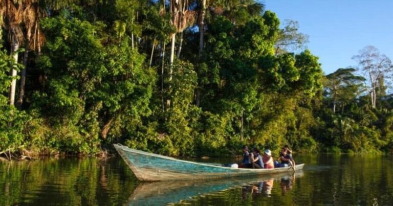 Día de la Amazonía Peruana: cuándo se celebra y por qué es clave para proteger nuestra selva?