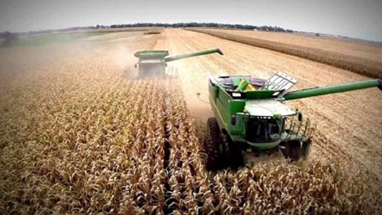 Baja de retenciones al campo: cómo impacta en la economía y en el productor