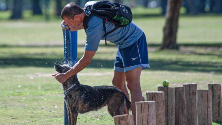Clima hoy en Buenos Aires: el pronóstico del tiempo para el miércoles 29 de enero