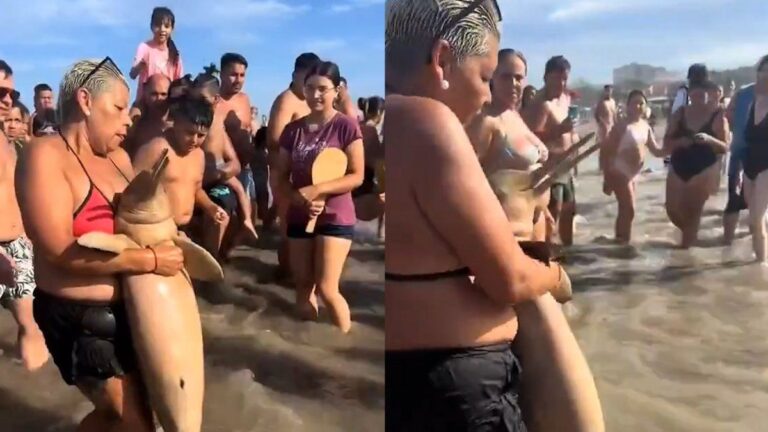 Mar de Ajó: apareció otro delfín muerto y varios turistas se sacaron fotos