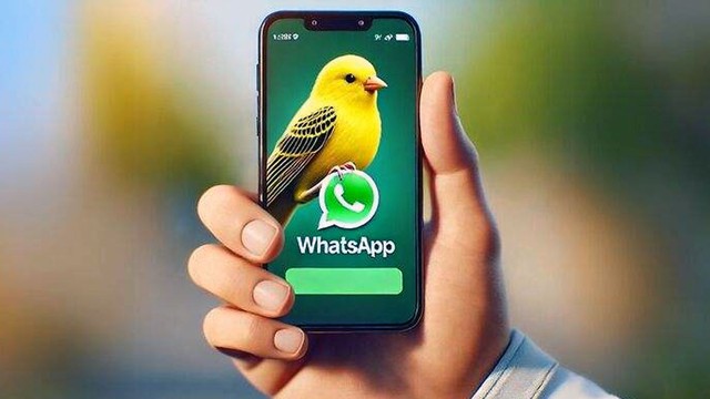 El truco para habilitar el «modo canario» en WhatsApp
