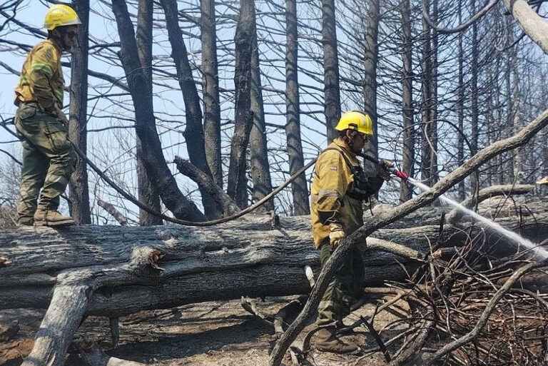 Birgadistas precarizados, en la primera línea contra el fuego