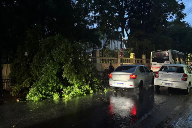Fuerte temporal en el AMBA