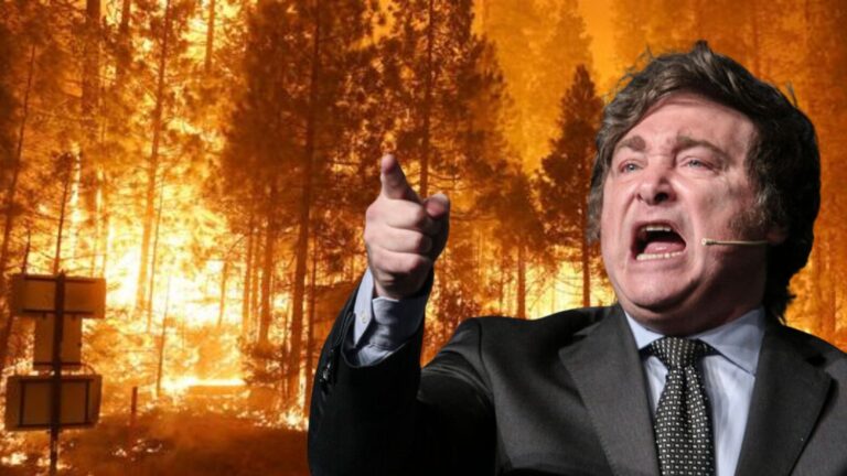 Motosierra al ambiente: En 2024 se ejecutó sólo el 22% del presupuesto al manejo del fuego