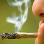 787807-alcohol-tabaco-y-marihuana-los-tres-consumos-adictivos-que-predominan-entre-los-portenos