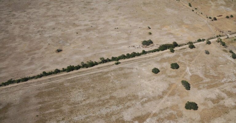 El Gobierno declaró la emergencia agropecuaria para Chaco y Santa Fe