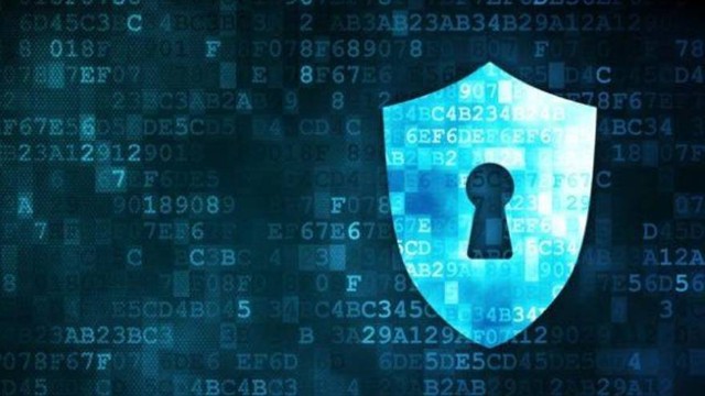 Ciberseguridad en empresas: por qué se debe priorizar la cultura sobre la tecnología