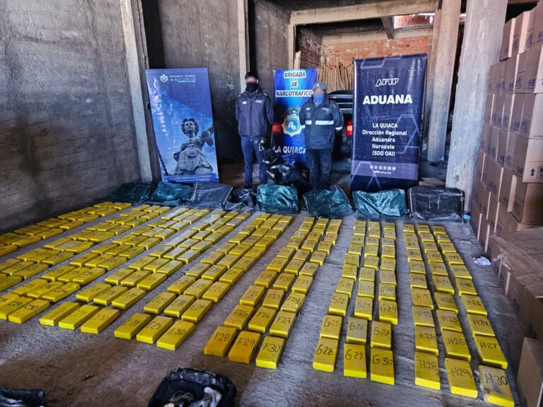 Secuestraron más de 700 kilos de cocaína en operativos en el norte del país