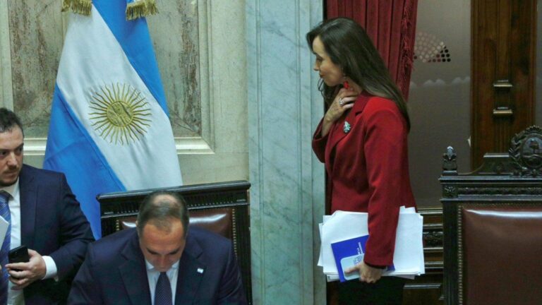 Revés para la oposición en el Senado: rechazaron los dictámenes de Discapacidad y Jubilaciones