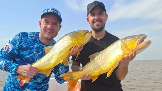 Festival de piques con dorados al por mayor en Cayastá