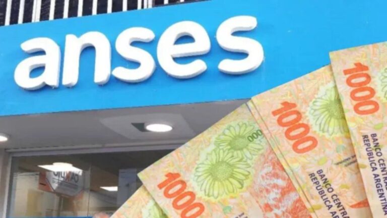 ANSES: la ayuda económica de casi $400.000 destinada a familias en agosto