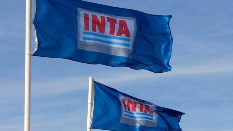 El Gobierno avanza con la desregulación del INTA pese al rechazo en Diputados