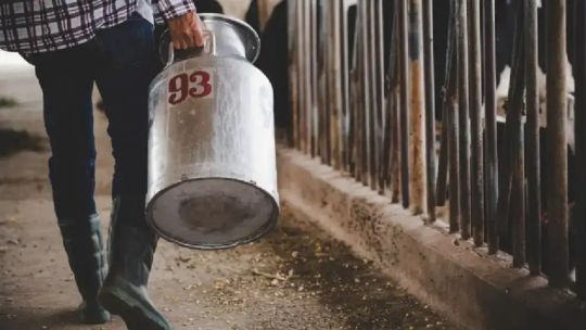Crisis en el sector tambero ante el exceso de agua en los caminos rurales: El 50% de las hectáreas están bajo agua