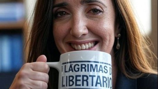 Campaña en las redes de los villarruelines tras la paliza electoral a Milei