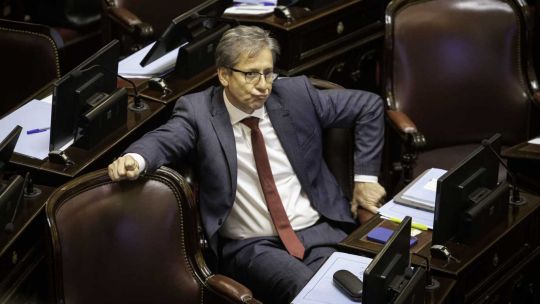 El jefe de los senadores radicales afirmó que «estarían los votos» para rechazar el veto de Javier Milei a la ley de reparto de los ATN