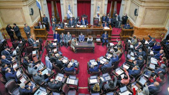 Senado al acecho: tras el revés en Diputados por Garrahan y universidades, la oposición va por el rechazo al veto de Milei a los ATN