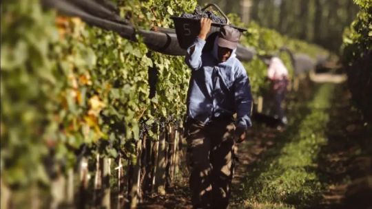 El sindicato de vitivinicultores relativizó la crisis de Bodega Bianchi y apuntó a problemas de gestión